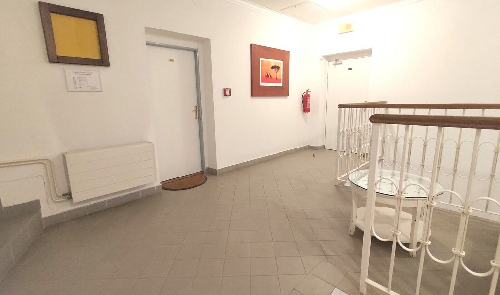Pronájem bytu 2+1 80 m², Plzeň – náhled fotky 14