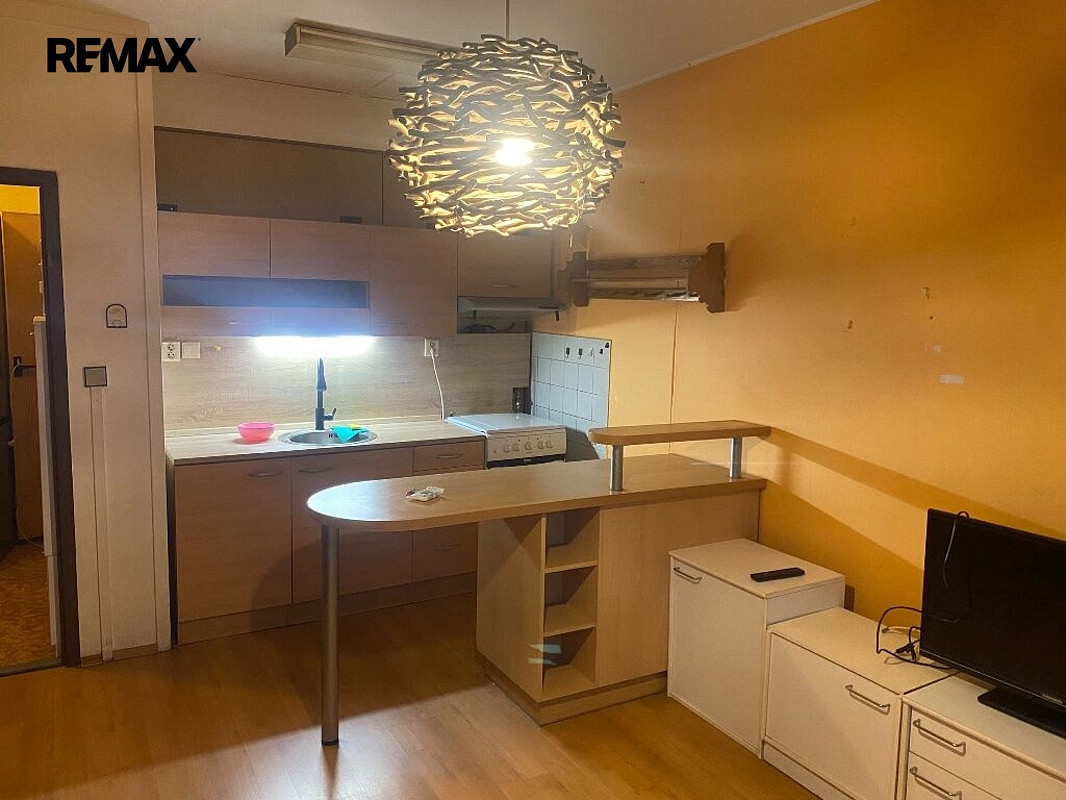 Prodej bytu 1+1 46 m² – fotografie 2