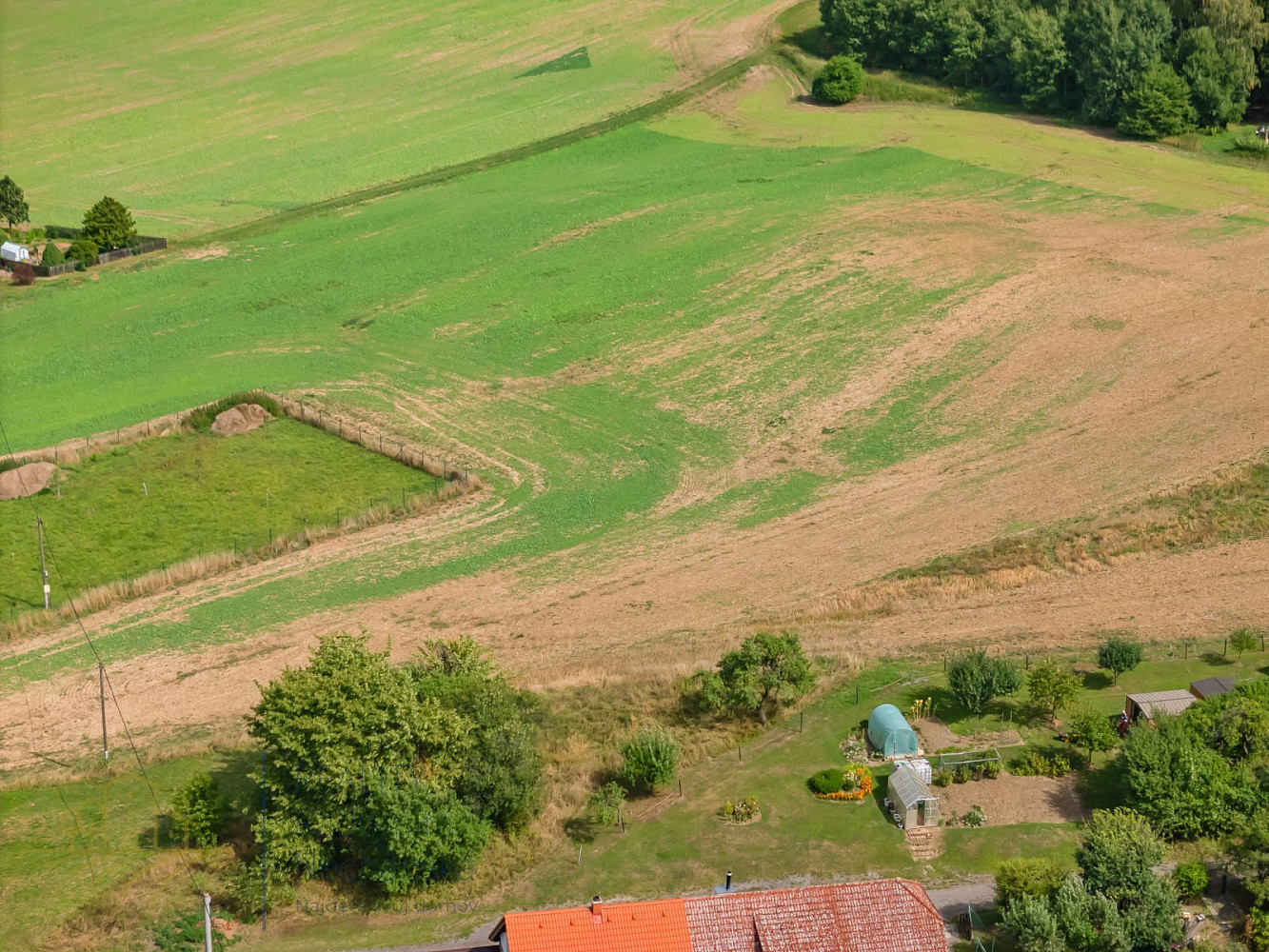 Fotka 10 z 14