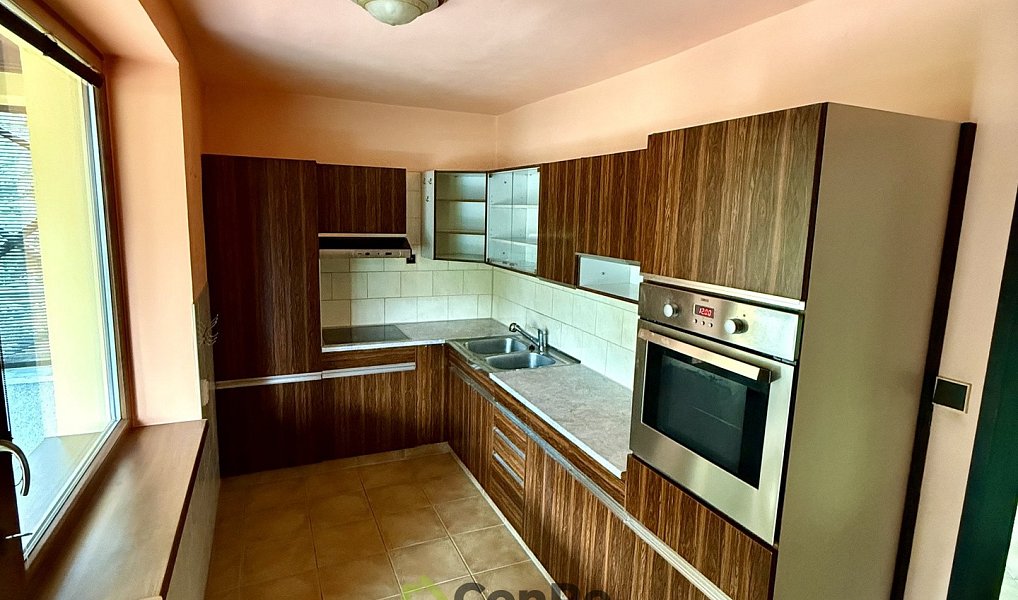 Prodej domu 297 m² s pozemkem 2 452 m², Provodín – náhled fotky 5
