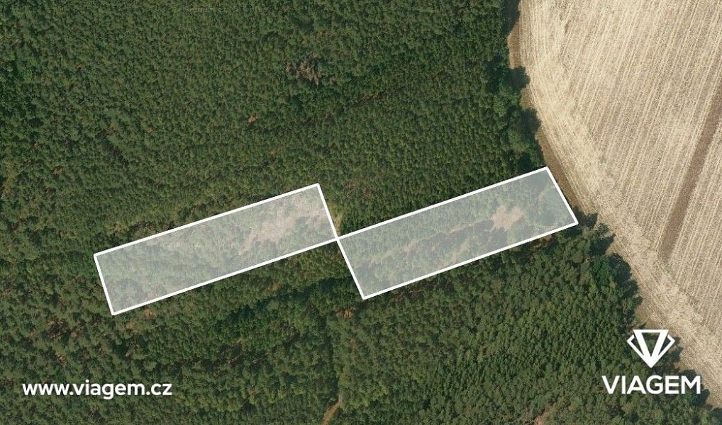 Prodej lesa 4 219 m², Manětín – náhled fotky 2