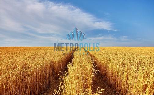 Prodej pole 21 407 m², Vodochody, okres Praha-východ