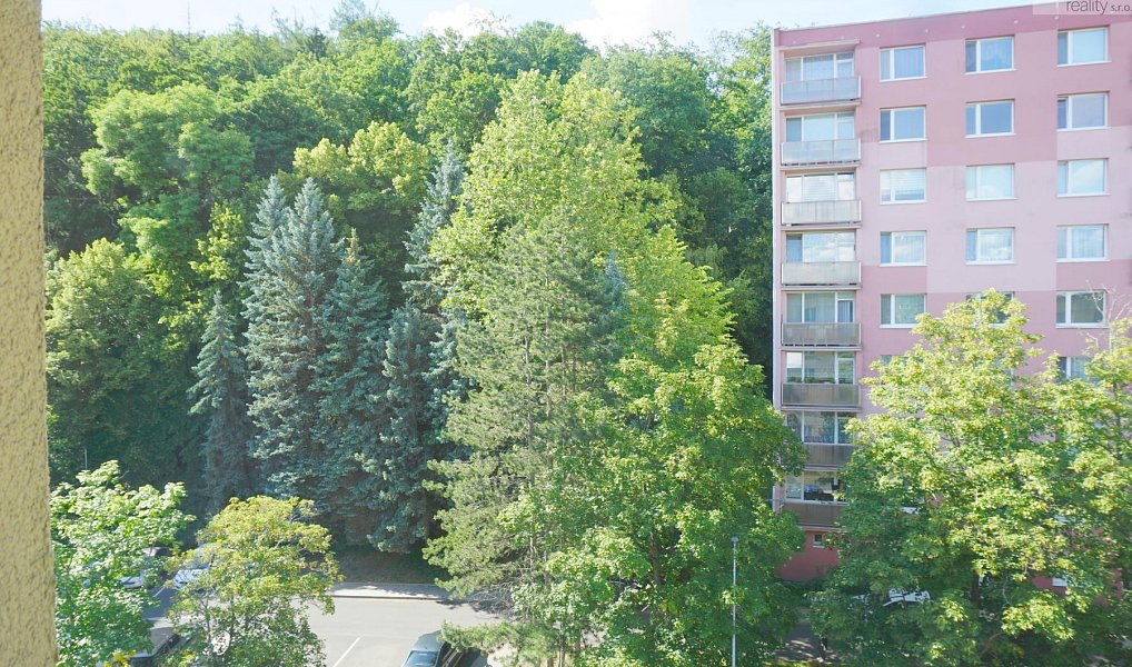 Prodej bytu 3+1 64 m², Litvínov – náhled fotky 19