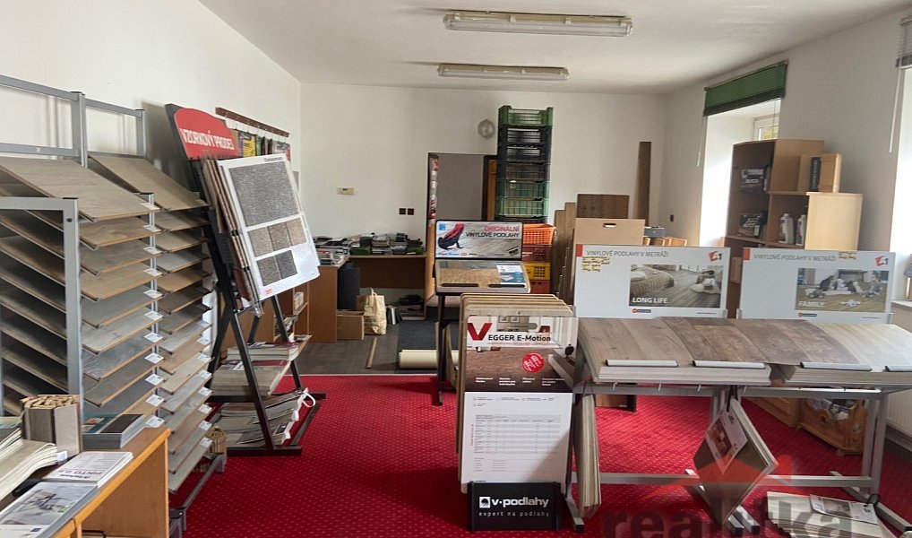 Prodej domu 525 m² s pozemkem 1 376 m², Opava – náhled fotky 15