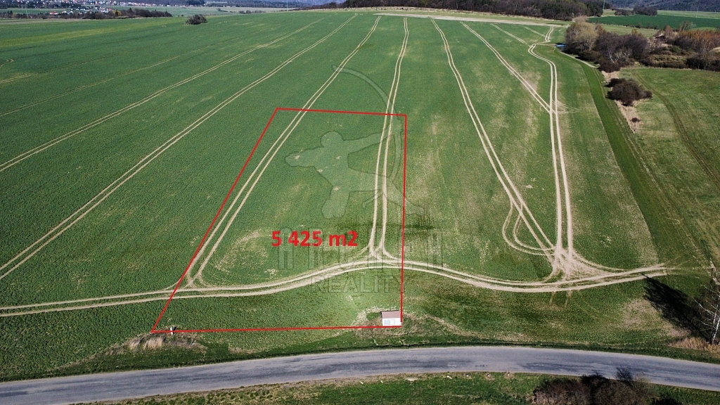 Prodej pole 5 425 m² – fotografie 3
