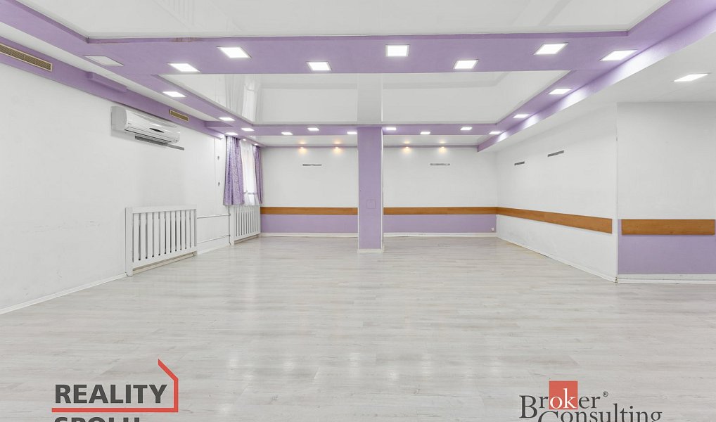 Prodej komerčního objektu (jiného typu) 2 619 m², Říčany – náhled fotky 38
