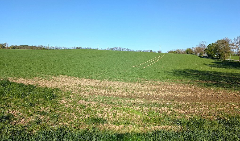 Prodej pole 16 452 m², Strakonice – náhled fotky 2