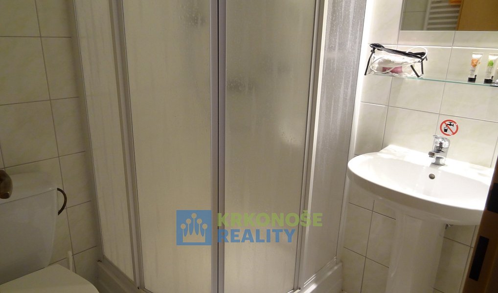 Prodej domu 272 m² s pozemkem 650 m², Žacléř – náhled fotky 23