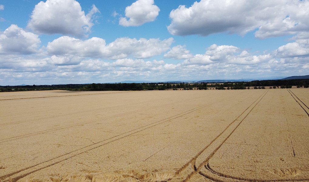 Prodej domu 173 m² s pozemkem 600 m², Hrušov – náhled fotky 26