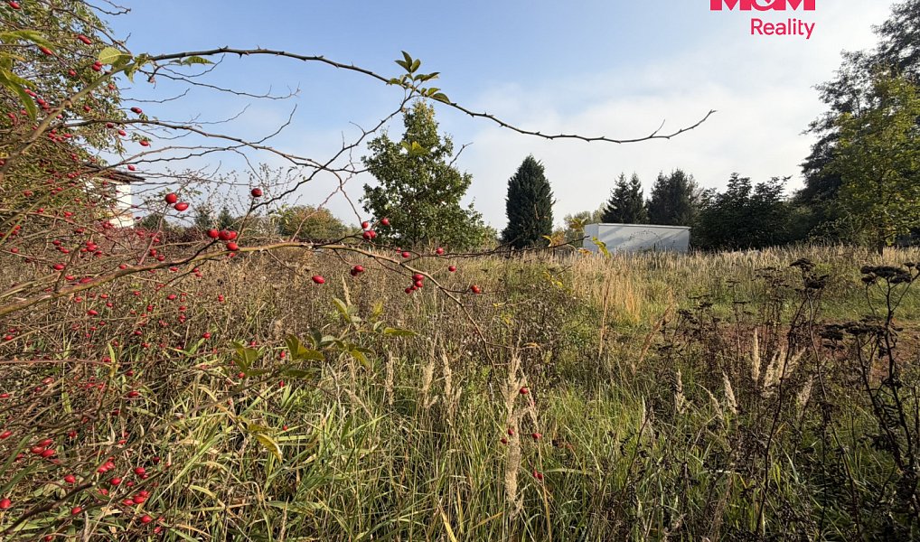 Prodej pozemku 2 259 m², Údlice – náhled fotky 7