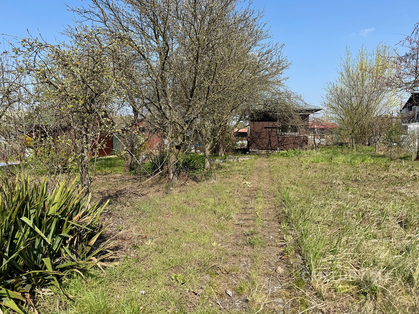 Prodej zahrady 266 m² — photo 4