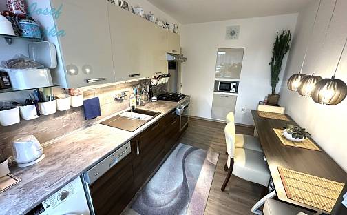 Prodej bytu 2+1 55 m², Provazníkova, Brno - Černá Pole