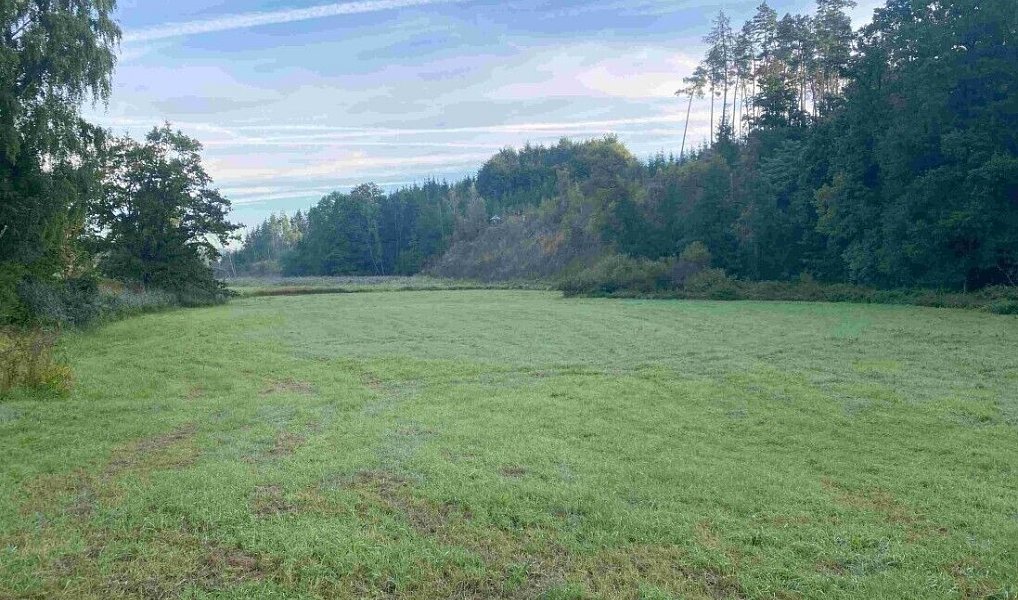 Prodej pole 9 377 m², Polná – náhled fotky 4