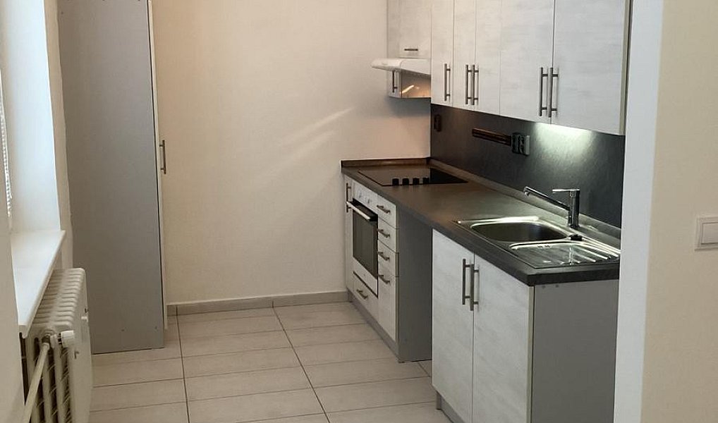 Prodej domu 806 m² s pozemkem 428 m², Ostrava – náhled fotky 7