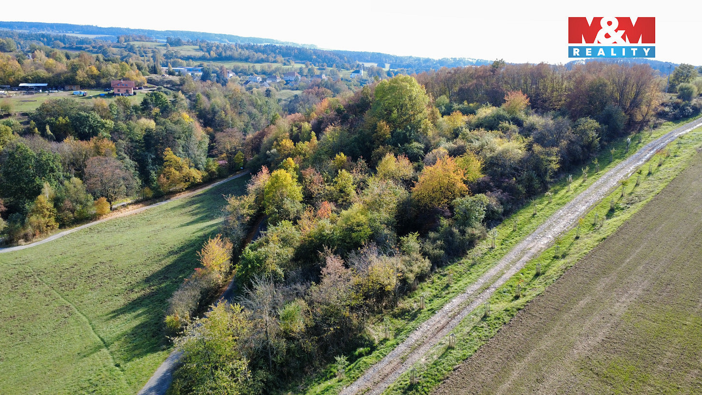 Prodej pole 4 731 m² – fotografie 4