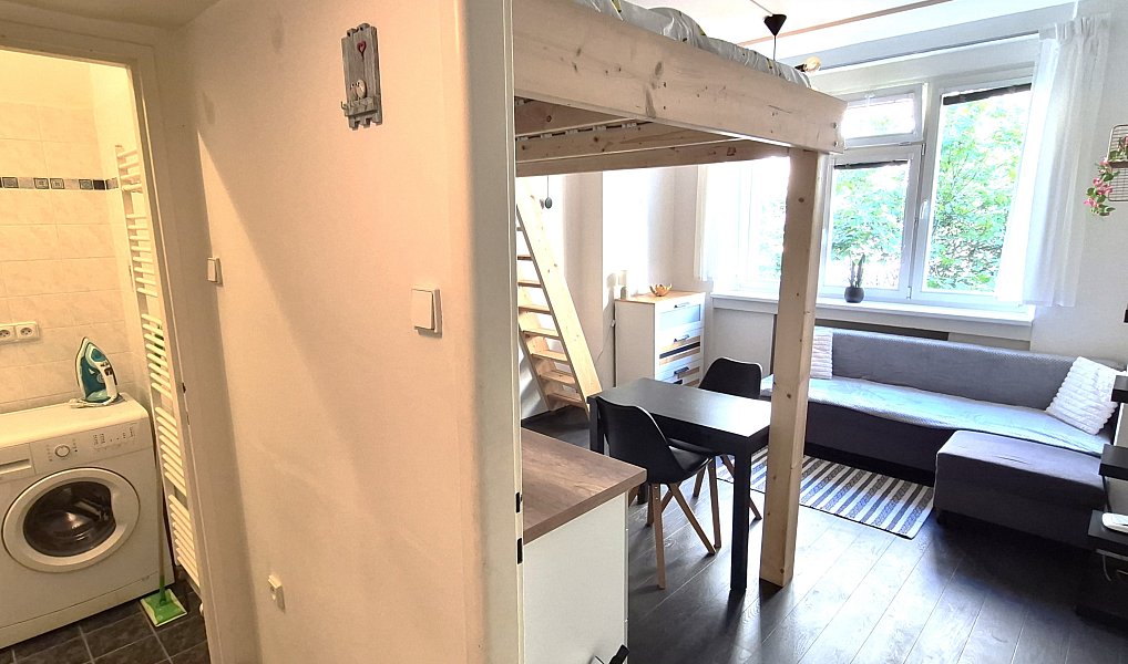 Prodej bytu 1+kk 20 m², Praha – náhled fotky 14