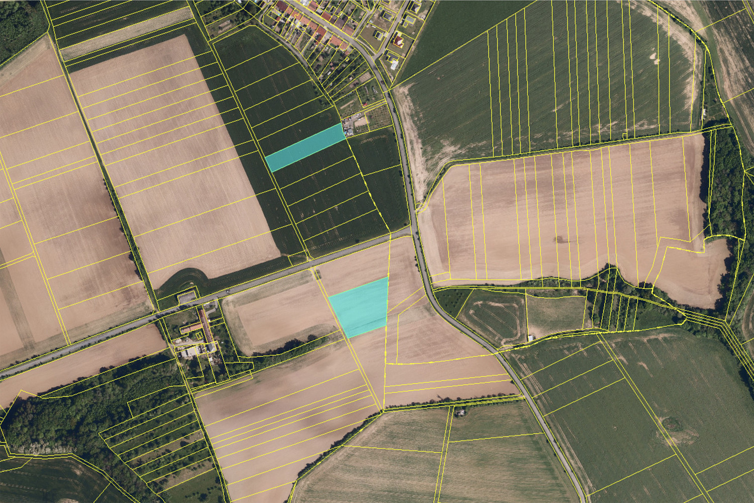 Prodej pole 10 644 m² – fotografie 3