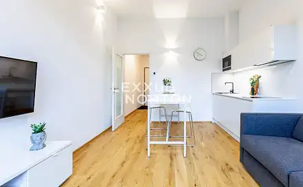 Pronájem bytu 1+kk 29 m², Na dračkách, Praha 6 - Veleslavín