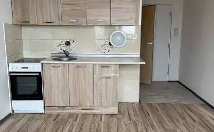 Prodej bytu 1+1 35 m², Kamenná, Chomutov