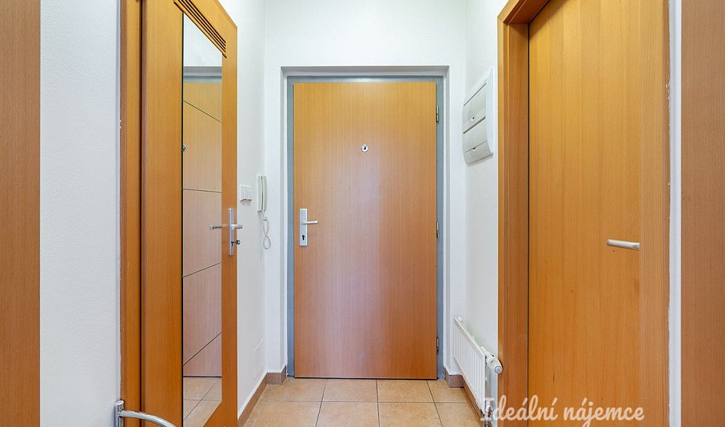Pronájem bytu 1+kk 32 m², Praha – náhled fotky 4