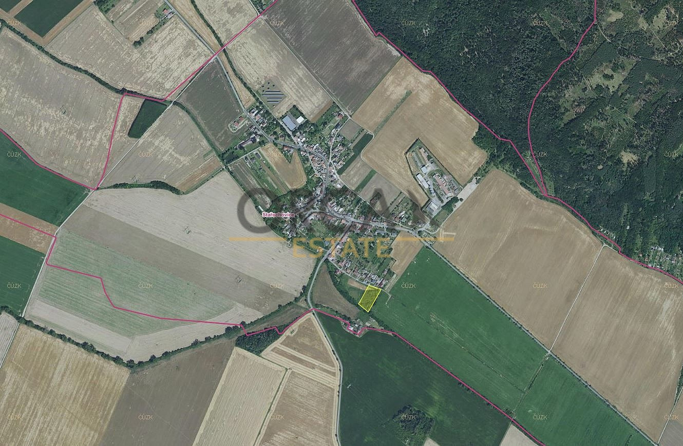 Prodej lesa 4 595 m² – fotografie 4
