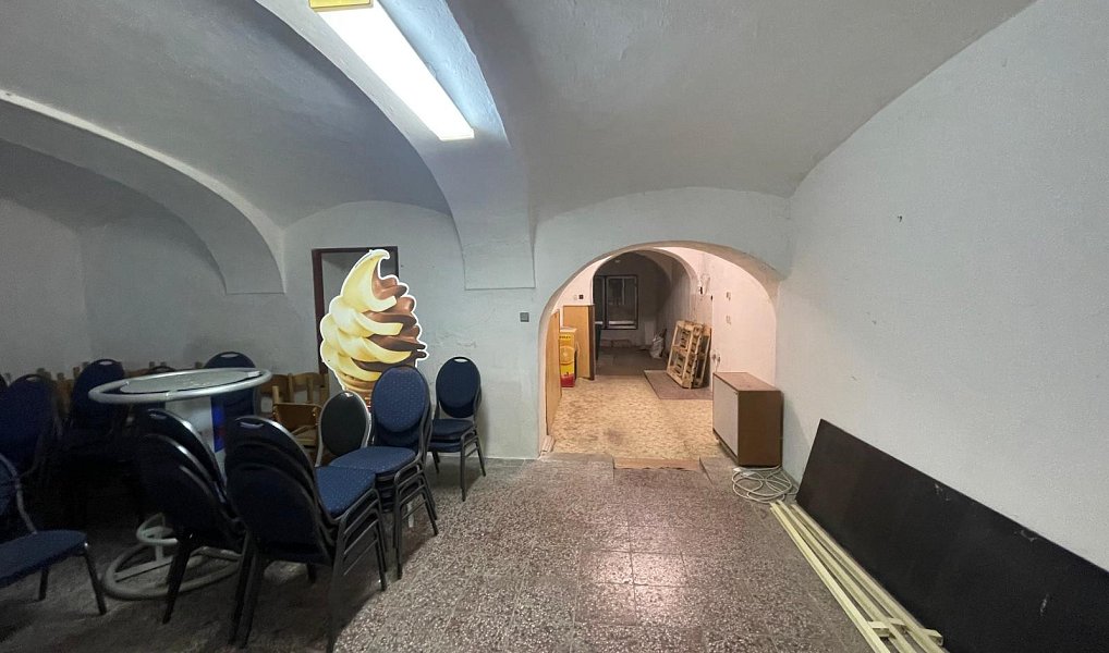 Prodej domu 264 m² s pozemkem 515 m², Mladá Vožice – náhled fotky 9