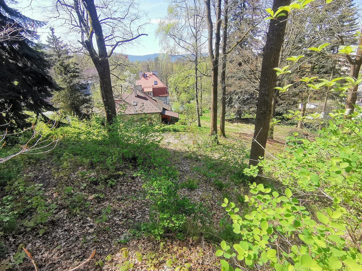 Fotka 12 z 17