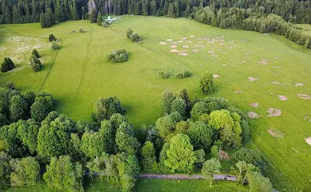 Prodej stavebního pozemku 2 281 m², Lesná, okres Tachov