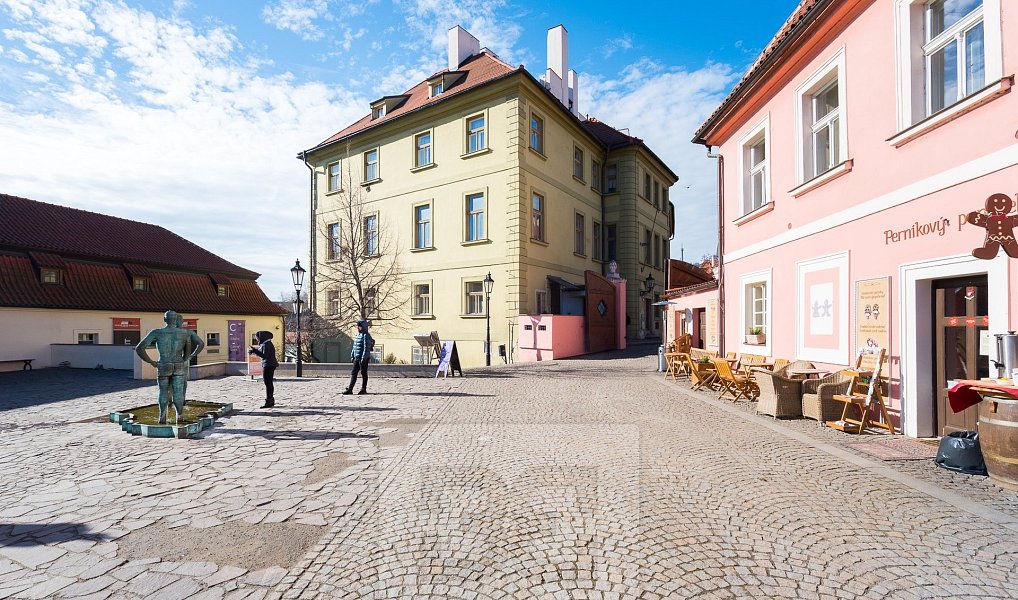 Pronájem bytu 1+kk 47 m², Praha – náhled fotky 14