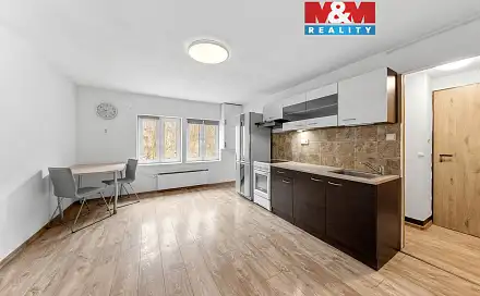 Prodej bytu 1+kk 25 m², Nádražní, Benešov nad Ploučnicí, okres Děčín