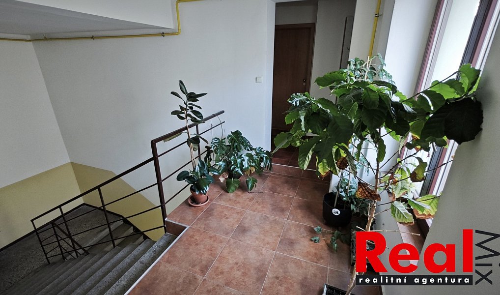 Pronájem bytu 1+kk 17 m², Brno – náhled fotky 16
