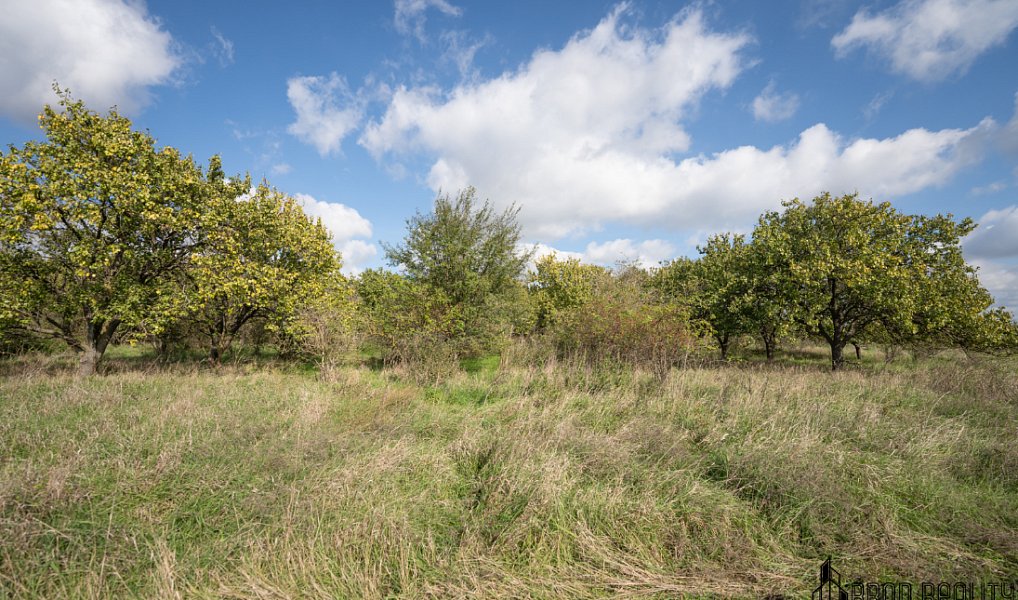 Prodej pozemku 14 896 m², Hustopeče – náhled fotky 3