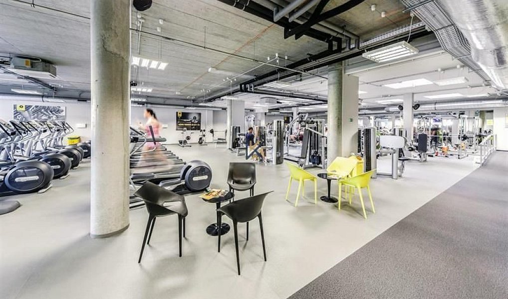 Pronájem kanceláře 539 m², Praha – náhled fotky 14