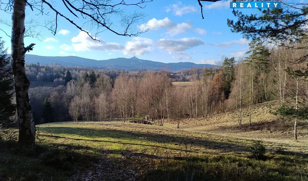 Prodej pozemku 8 531 m², Dlouhý Most – náhled fotky 8
