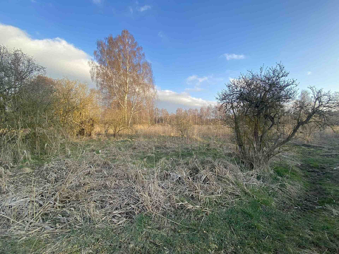 Prodej pole 2 866 m² – pohled 3