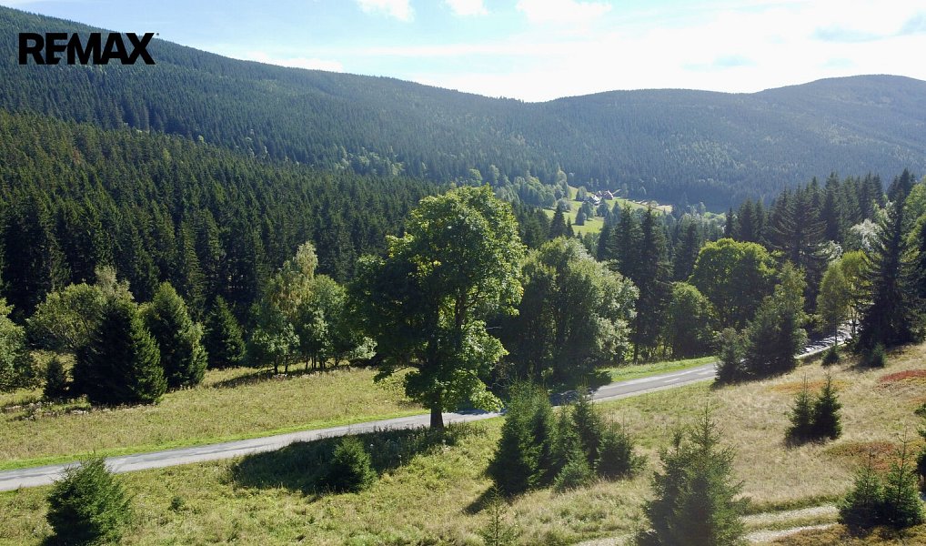 Prodej louky 28 918 m², Malá Úpa – náhled fotky 10