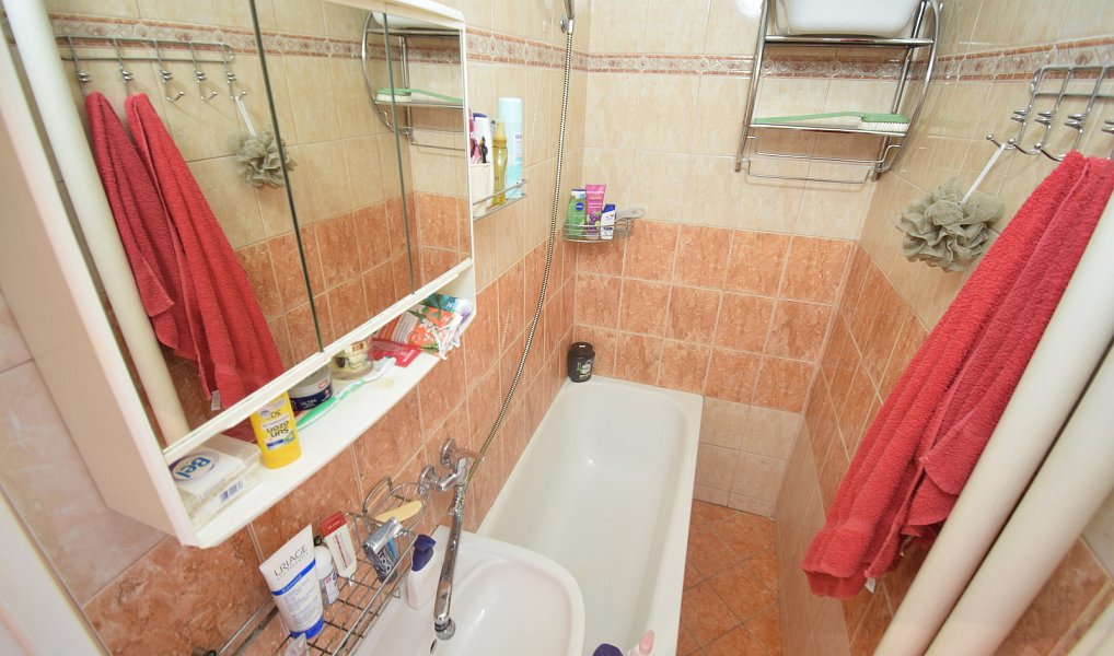 Prodej bytu 1+kk 24 m², Praha – náhled fotky 5