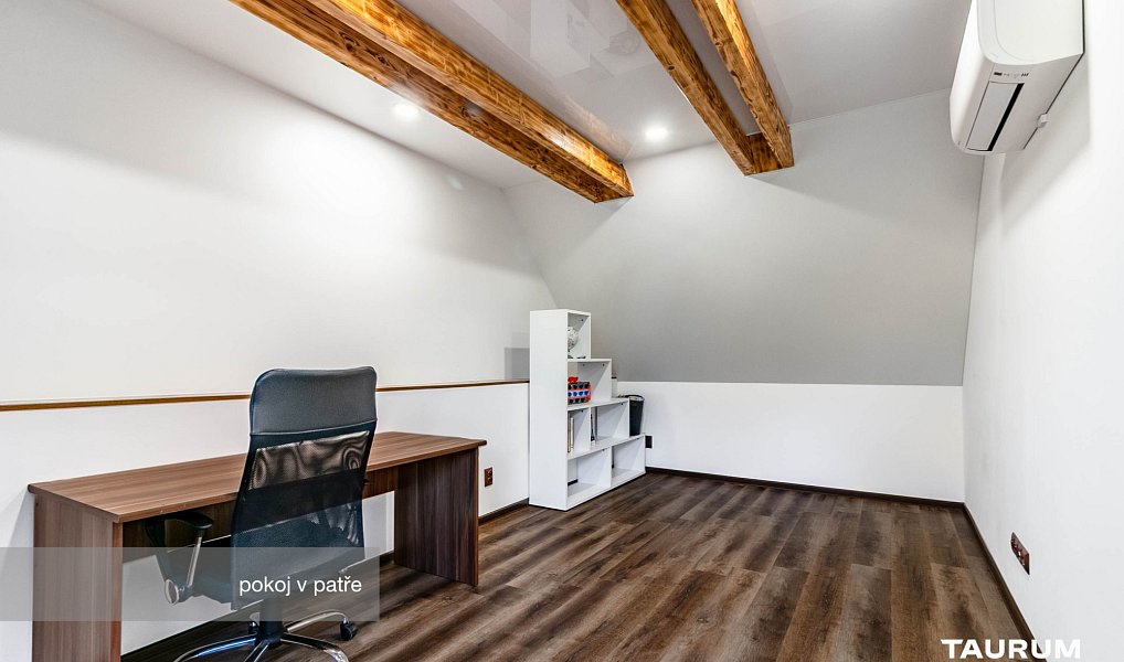 Prodej domu 366 m² s pozemkem 1 448 m², Přehýšov – náhled fotky 11