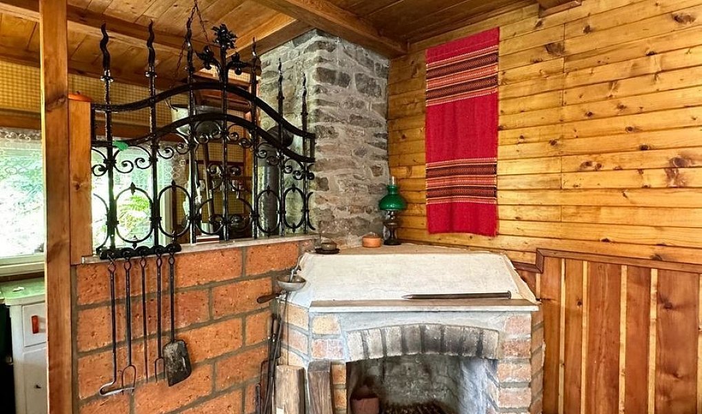 Prodej chaty/chalupy 26 m² s pozemkem 26 m², Plasy – náhled fotky 12
