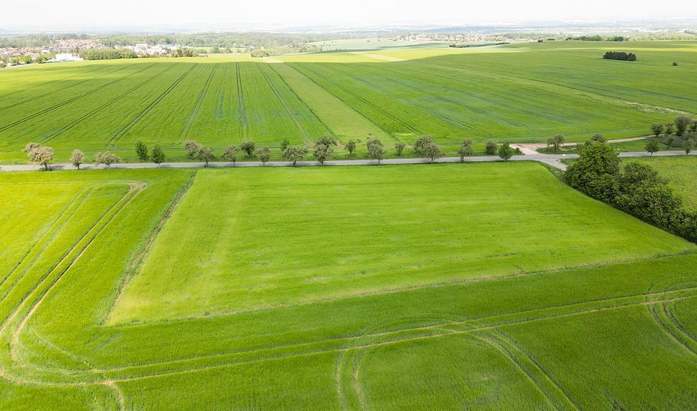 Prodej stavebního pozemku 801 m², Sulice – náhled fotky 5