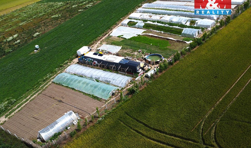 Prodej pole 18 000 m², Nové Dvory – náhled fotky 4