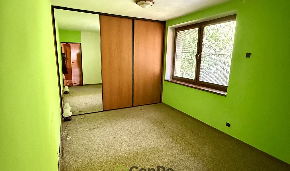 Prodej domu 297 m² s pozemkem 2 452 m², Provodín – náhled fotky 8