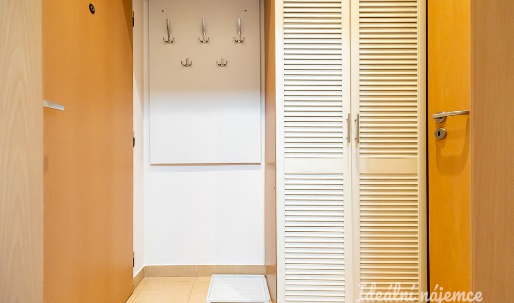 Pronájem bytu 1+kk 20 m², Praha – náhled fotky 8