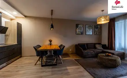 Pronájem bytu 2+kk 55 m², Papírnická, Plzeň - Východní Předměstí