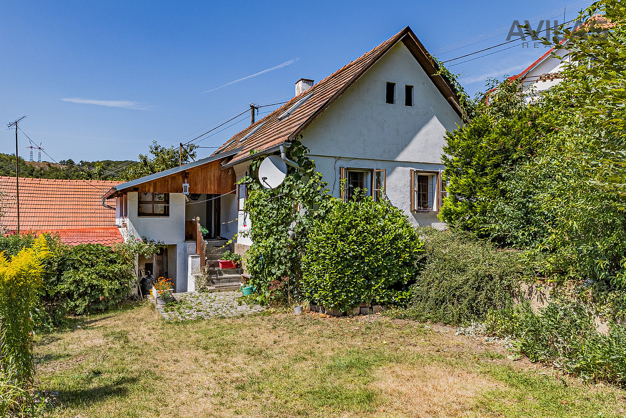 Fotka 9 z 26