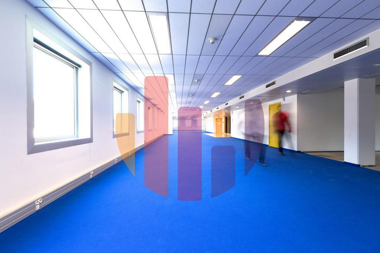 Pronájem kanceláře 135 m² — photo 5
