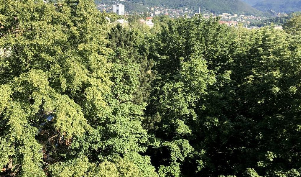 Pronájem bytu 2+kk 41 m², Ústí nad Labem – náhled fotky 10