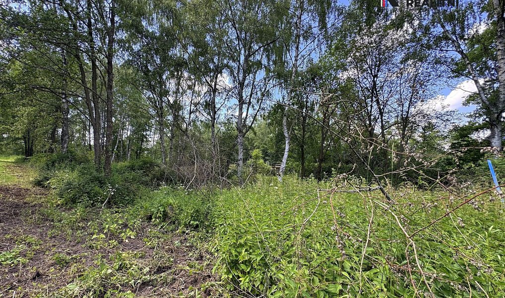 Prodej pozemku 3 000 m², Karlovy Vary – náhled fotky 4