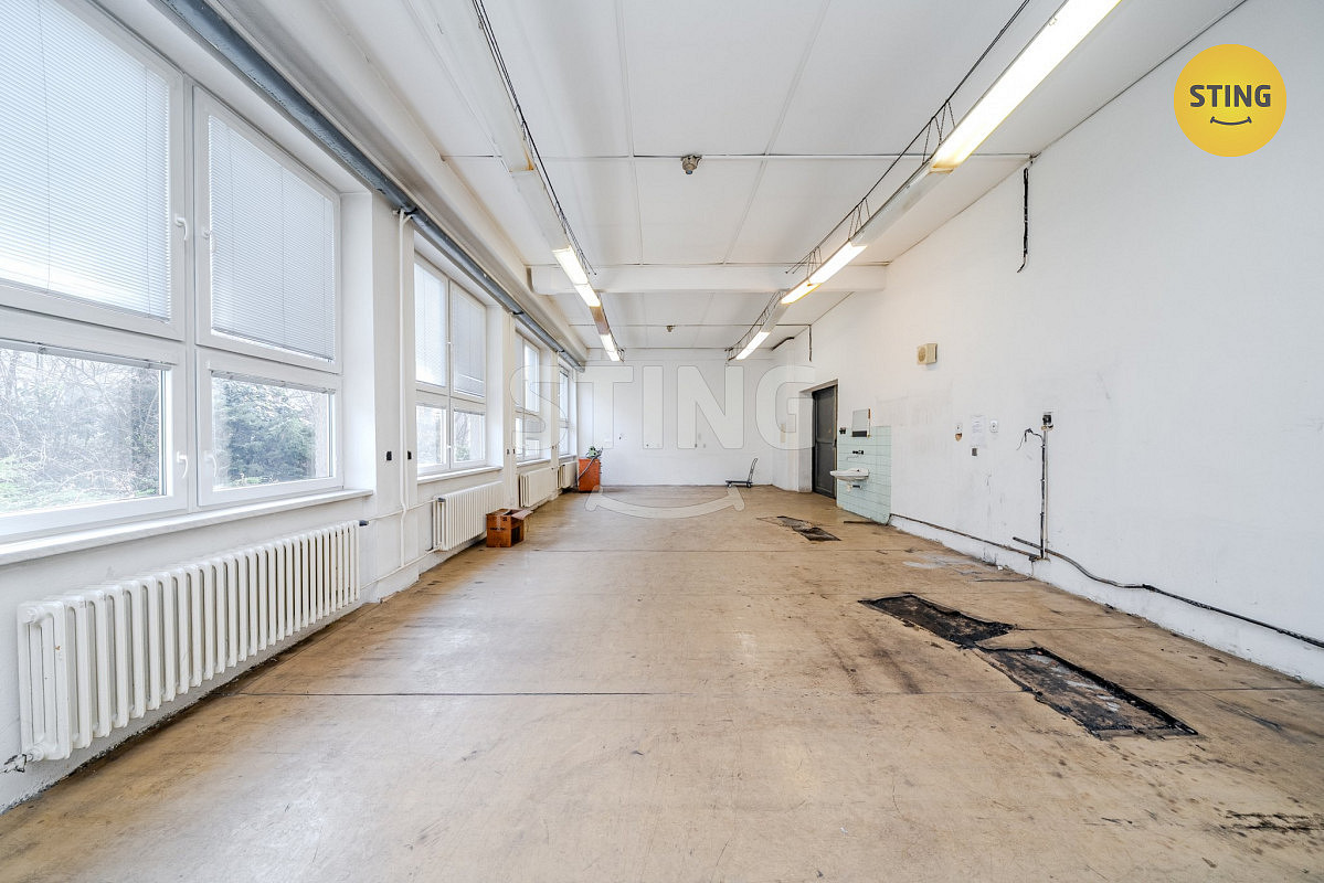 Pronájem komerčního objektu (jiného typu) 556 m² - Widok 2
