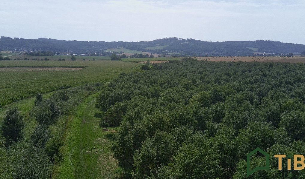 Prodej pole 5 319 m², Vanovice – náhled fotky 3